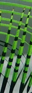 Leaves at OnLine Systems entrance